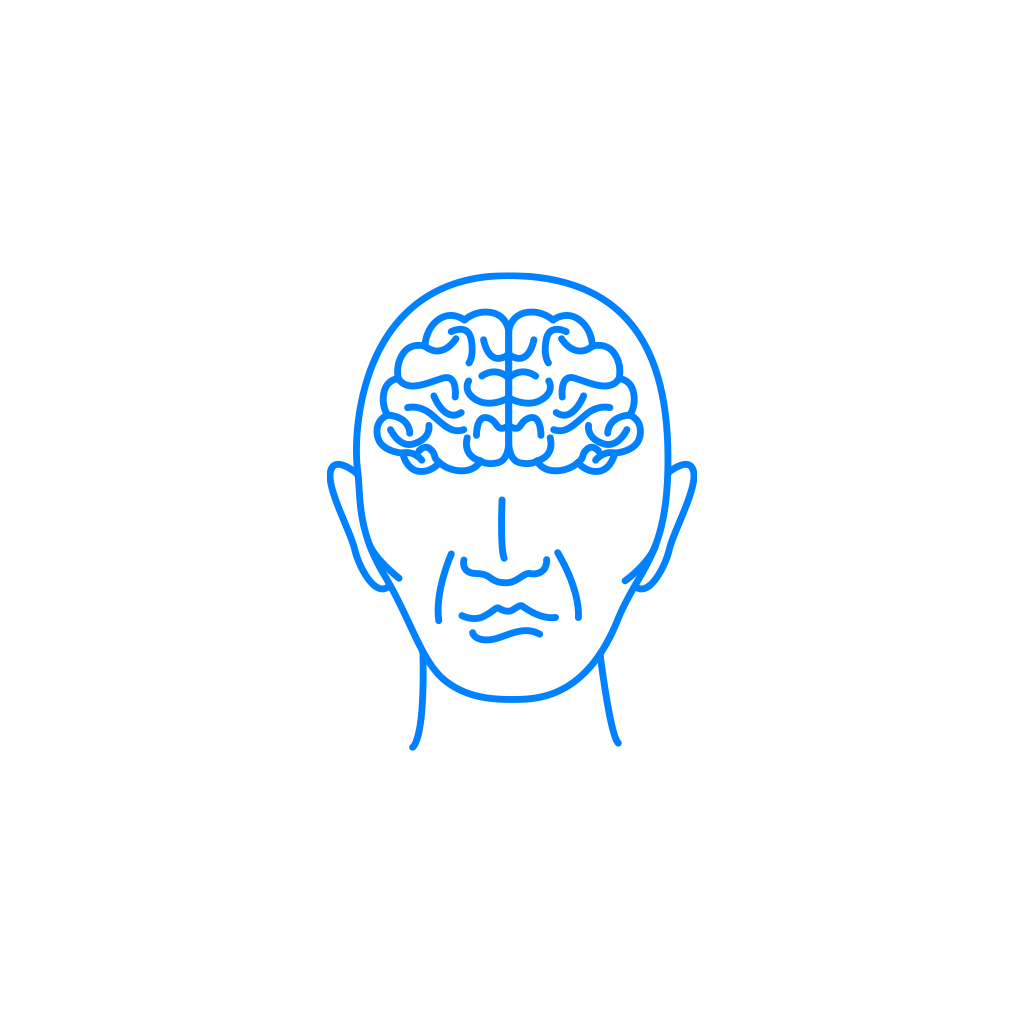 正面から見た脳の透視図の挿絵 イラスト Sashie 自由に使えるシンプルイラスト Simple Illustration For Free Use